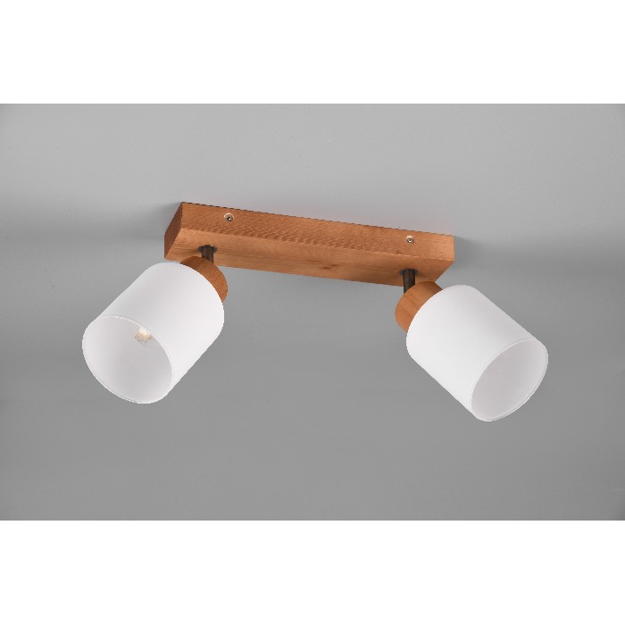 lighting/spotlights-recessed-lighting/trio-assam-spot-2x-e14