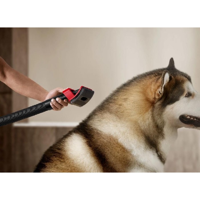 small-appliances/vacuums-steamers/dyson-v16-piston-animal-submarine-cordless-vacuum-cleaner