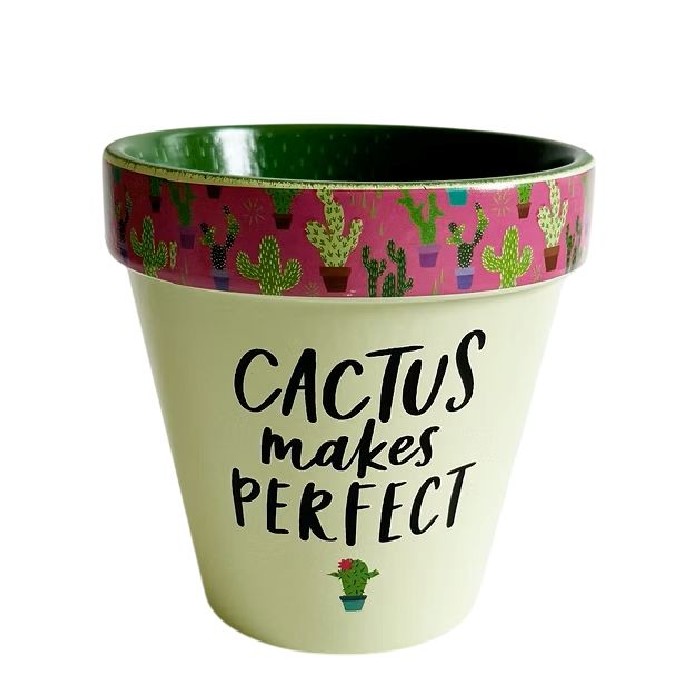 home-decor/indoor-pots-plant-stands/cactus-makes-perfect-pot-yellow