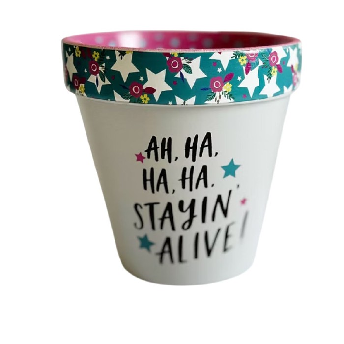 home-decor/indoor-pots-plant-stands/stayin-alive!-pot-grey