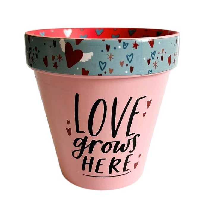 home-decor/indoor-pots-plant-stands/love-grows-here-pot-pink