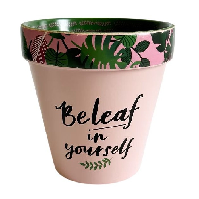 home-decor/indoor-pots-plant-stands/beleaf-in-yourself-pot-pink