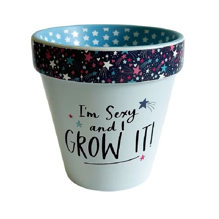 home-decor/indoor-pots-plant-stands/i'm-sexy-and-i-grow-it-pot-blue