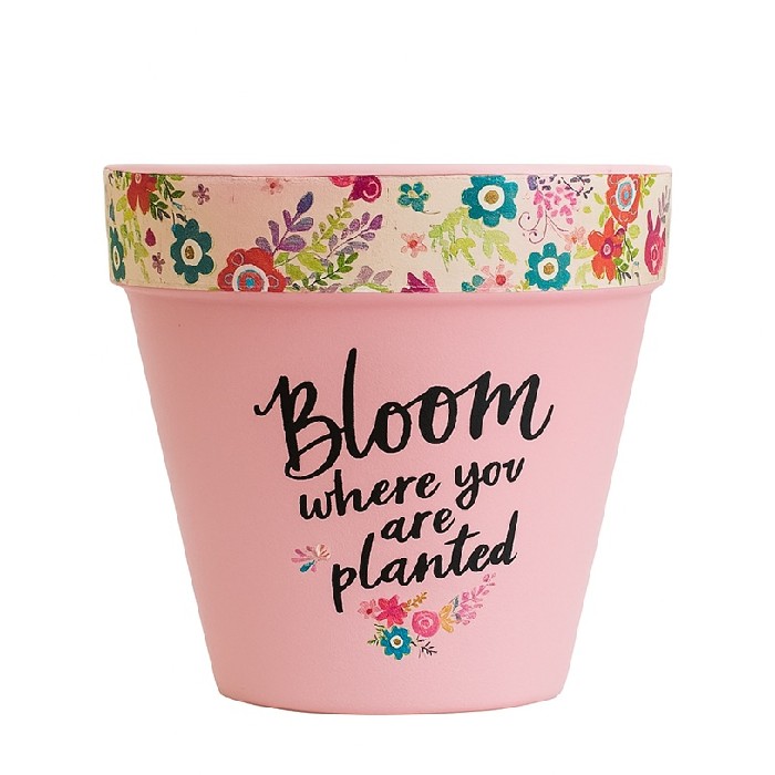 home-decor/indoor-pots-plant-stands/bloom-where-you-are-planted-pot-pink