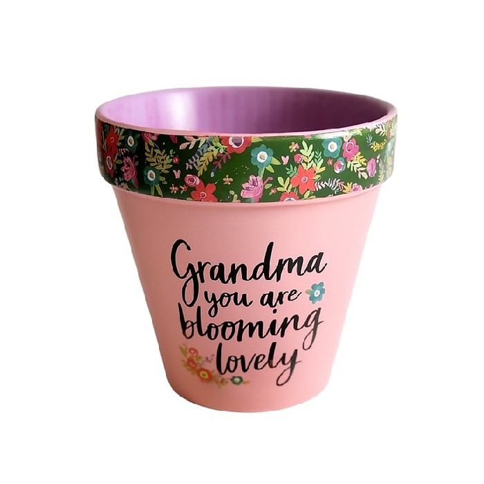 home-decor/indoor-pots-plant-stands/grandma-you-are-blooming-pot-pink