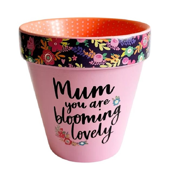 home-decor/indoor-pots-plant-stands/mum-you-are-blooming-pot-pink