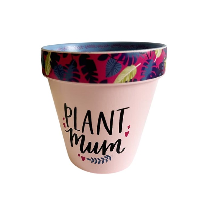 home-decor/indoor-pots-plant-stands/plant-mum-pot-pink