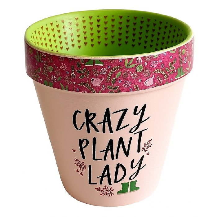 home-decor/indoor-pots-plant-stands/crazy-plant-lady-pot-pink