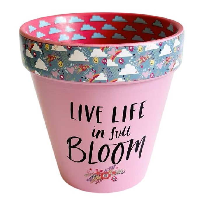 home-decor/indoor-pots-plant-stands/love-life-in-full-bloom-pot-pink