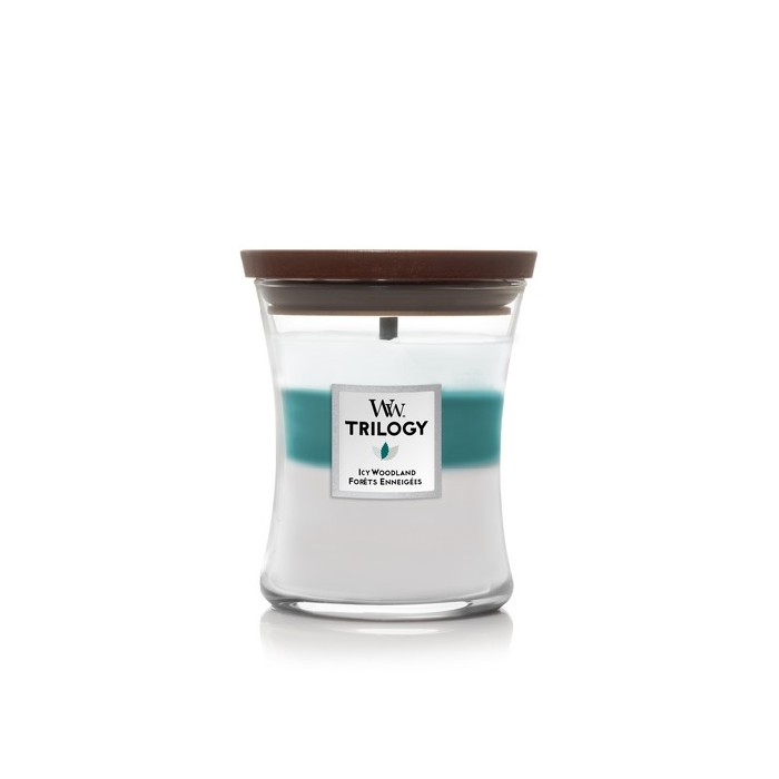 home-decor/candles-home-fragrance/woodwick-icy-woodland-trilogy-medium-candles-with-hearthwick-flame