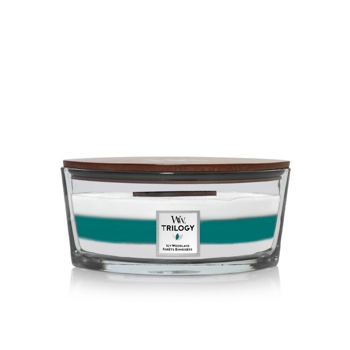 home-decor/candles-home-fragrance/woodwick-trilogy-ellipse-icy-woodland