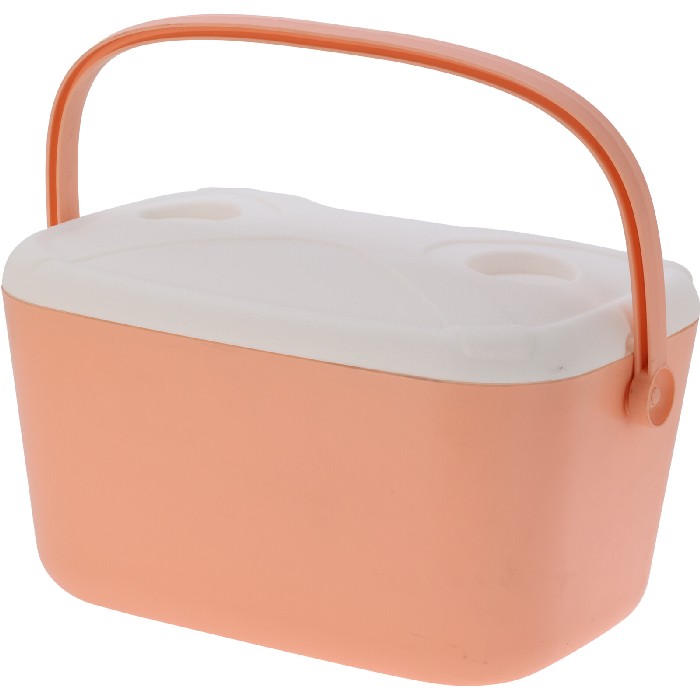 outdoor/accessories-peripherals/cooler-box-20-liter-pink