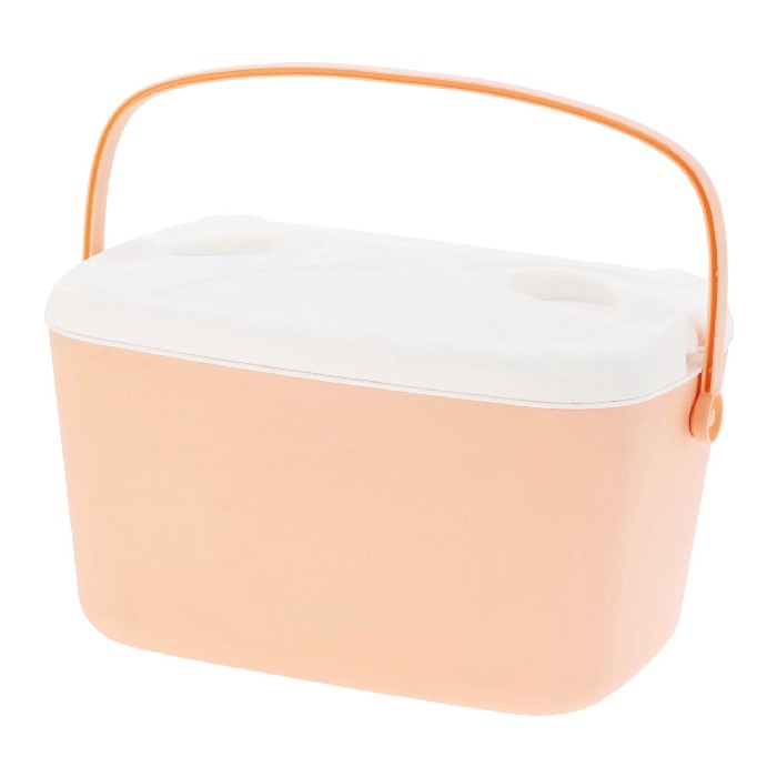 outdoor/accessories-peripherals/cooler-box-30l-pink