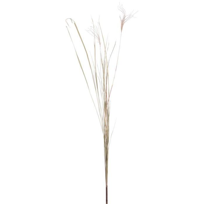 home-decor/artificial-plants-flowers/bizzotto-artificial-pampas-beige-135cm