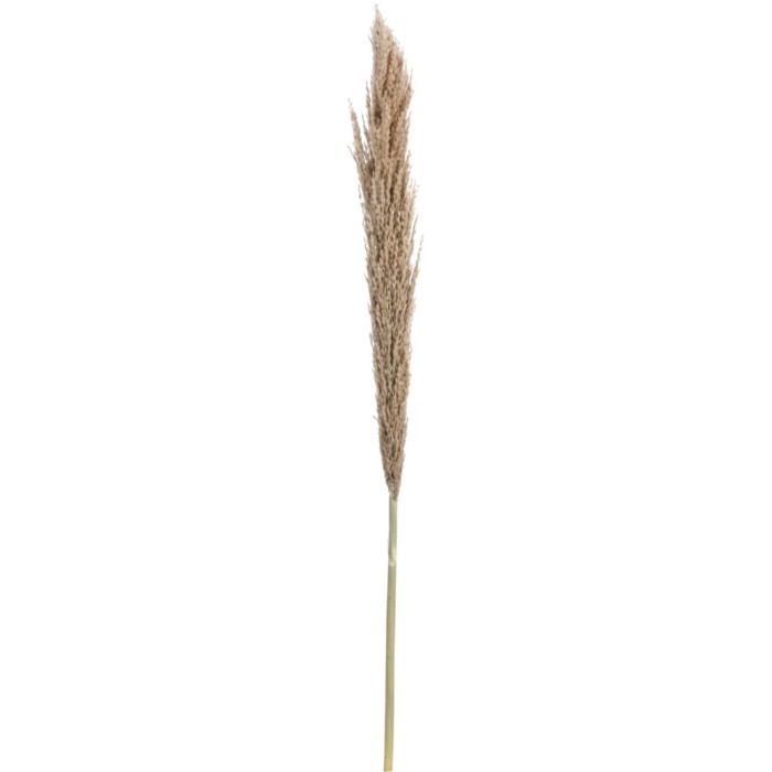 home-decor/artificial-plants-flowers/pampas-decoration-150cm