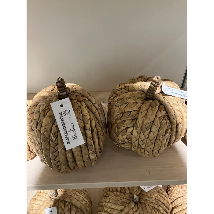 home-decor/decorative-ornaments/pumpkin-natural-15cm-2-assorted-design