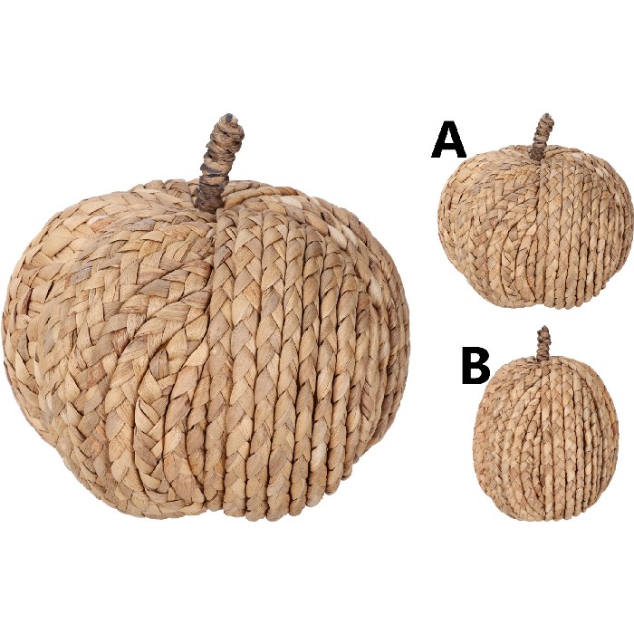 home-decor/decorative-ornaments/pumpkin-natural-20cm-2-assorted