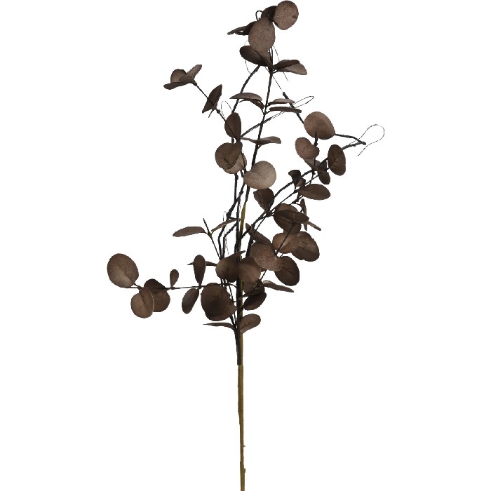 home-decor/artificial-plants-flowers/branch-with-leaves-65cm-3-assorted-brown