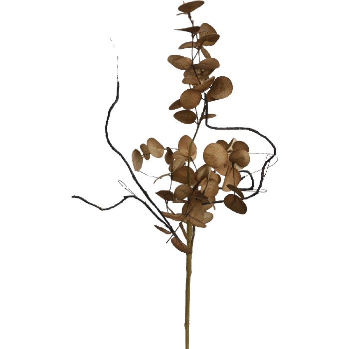 home-decor/artificial-plants-flowers/branch-with-leaves-65cm-3-assorted-brown