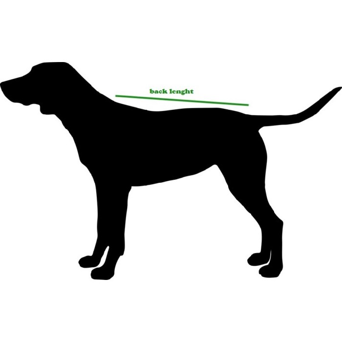 other/pet-care-accessories/promo-coincasa-vermont-windproof-waterproof-fabric-dog-coat