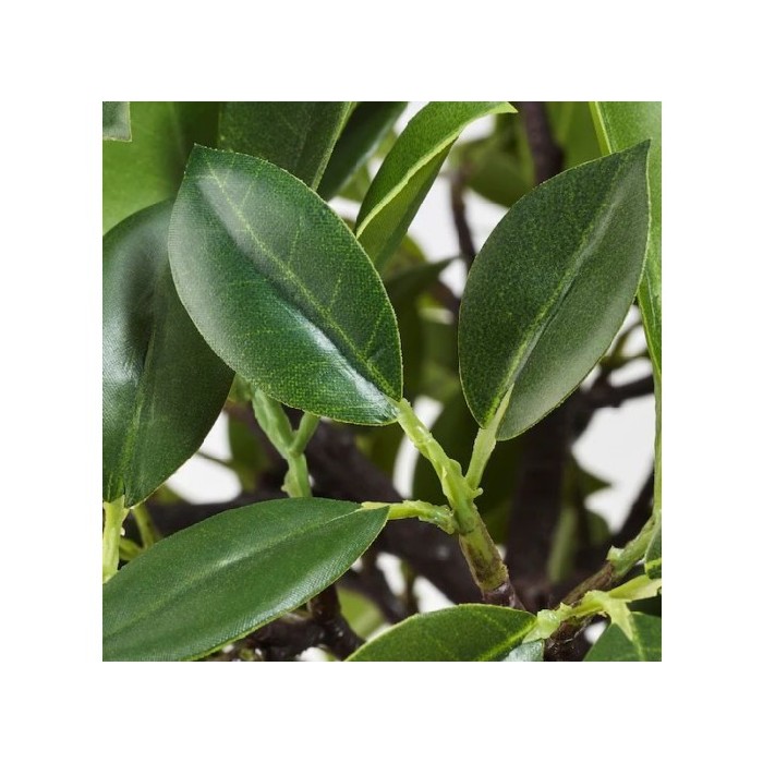 Ikea Fejka Artificial Potted Plant Indooroutdoor Weeping Fig Artificial
