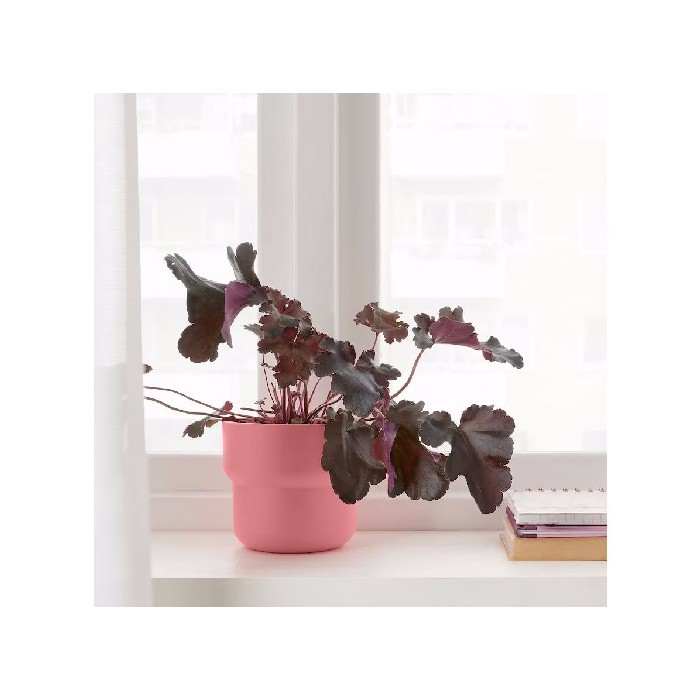 home-decor/deco/ikea-forenlig-planter-12cm