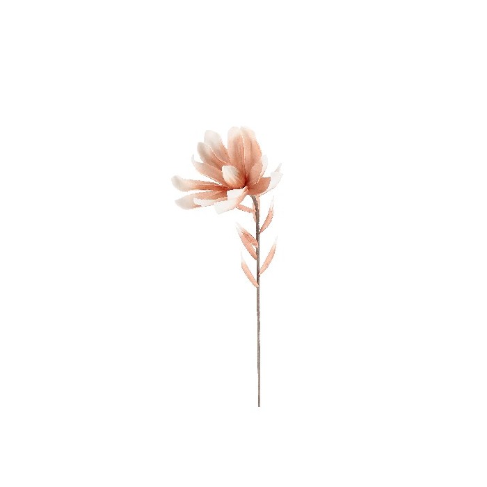 home-decor/artificial-plants-flowers/bizzotto-darian-pink-leucadendron-h81cm