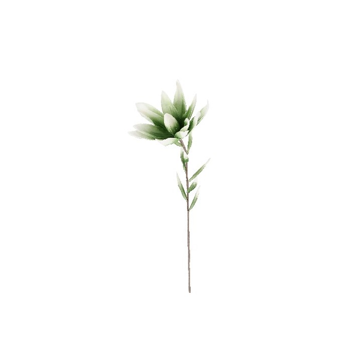 home-decor/artificial-plants-flowers/bizzotto-darian-green-leucadendron-h81cm