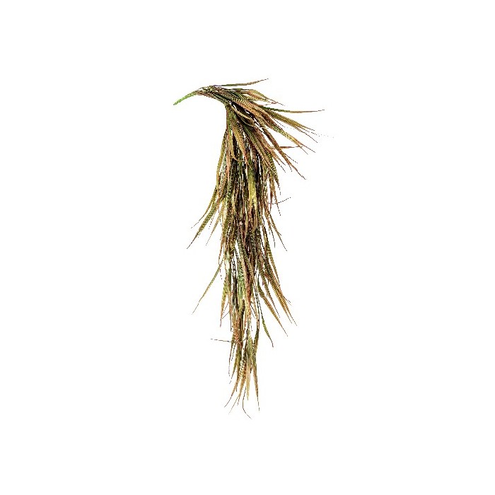 home-decor/artificial-plants-flowers/bizzotto-red-hakonechloa-hanging-branch-h91cm