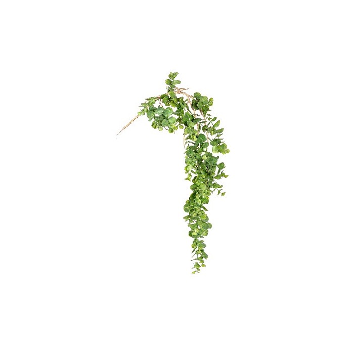 home-decor/artificial-plants-flowers/bizzotto-jala-green-dischidia-hanging-branch-h92cm