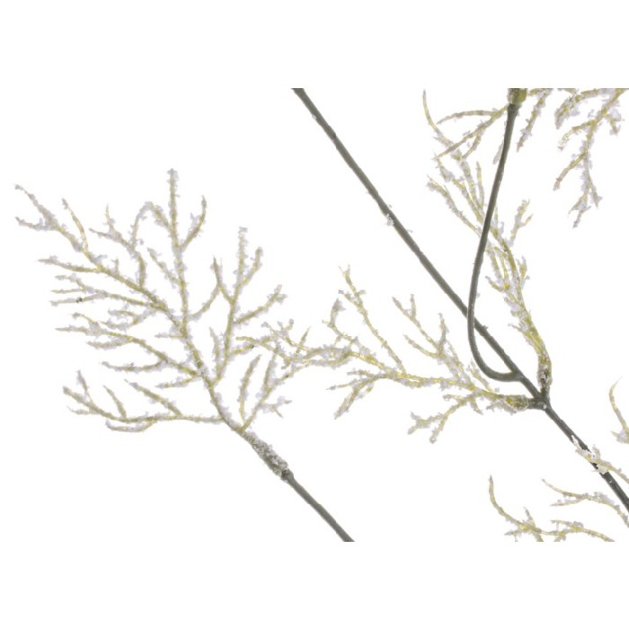 home-decor/artificial-plants-flowers/bizzotto-cypress-alpine-branch-white-90cm