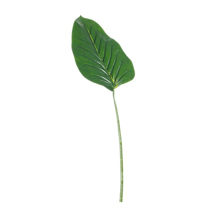 home-decor/artificial-plants-flowers/bizzotto-dieffenbachia-green-leaf