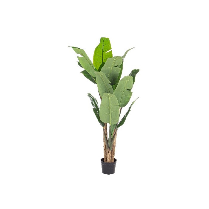 home-decor/artificial-plants-flowers/bizzotto-banano-plant-16leaves-h170cm-with-vase