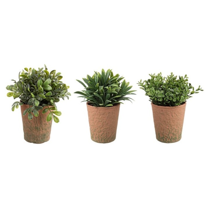 home-decor/artificial-plants-flowers/bizzotto-little-plant-vase-3-assorted