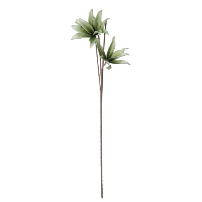 home-decor/artificial-plants-flowers/bizzotto-artificial-hemerocallis-green-113cm