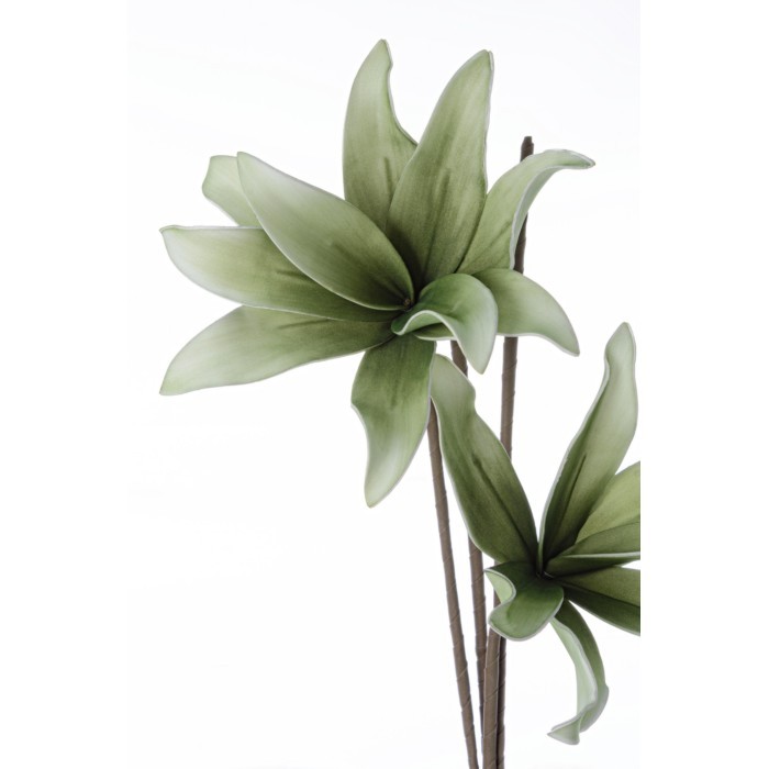 home-decor/artificial-plants-flowers/bizzotto-artificial-hemerocallis-green-113cm