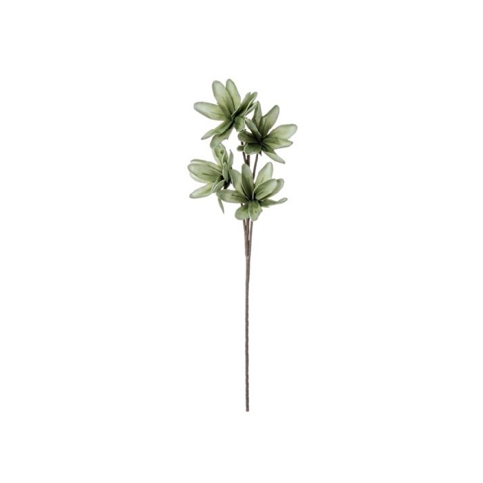 home-decor/artificial-plants-flowers/green-magnolia-x4f-h92