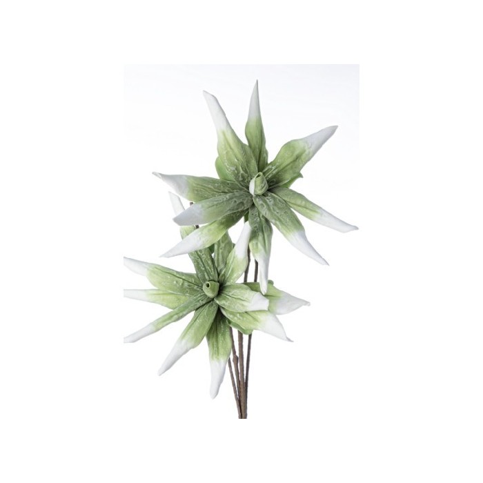 home-decor/artificial-plants-flowers/green-aloe-chinensis-x2f-h125