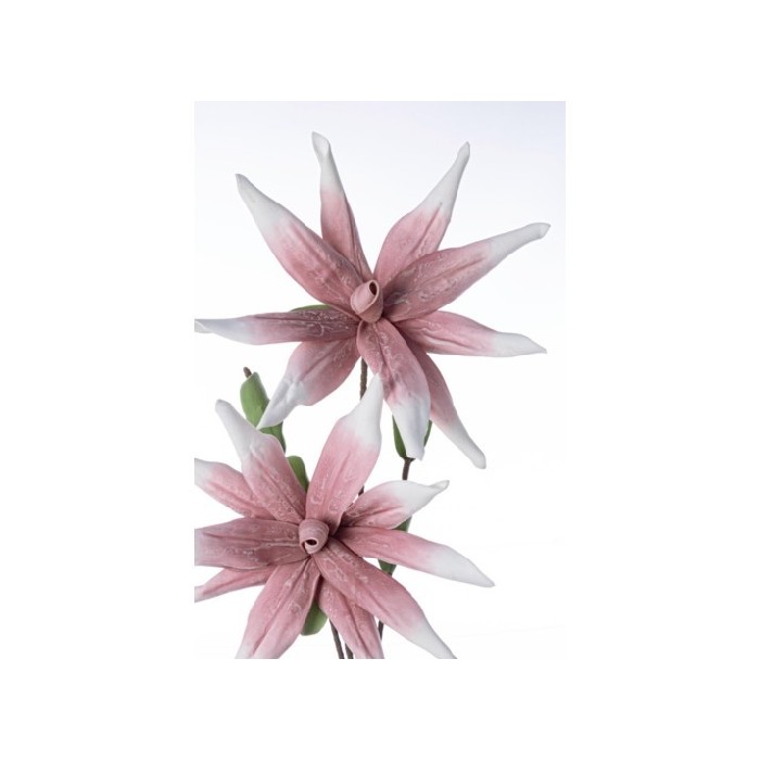 home-decor/artificial-plants-flowers/pink-aloe-chinensis-x2f-h125