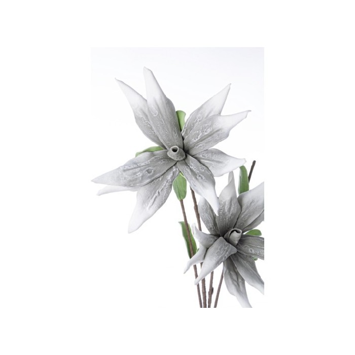 home-decor/artificial-plants-flowers/grey-aloe-chinensis-x2f-h125
