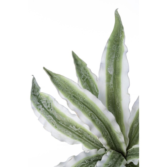 home-decor/artificial-plants-flowers/bizzotto-artificial-variegated-aloe-branch-green-98cm