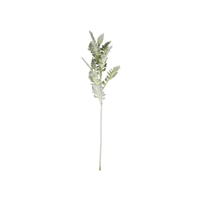 home-decor/artificial-plants-flowers/bizzotto-senecio-cineraria-14leaves-h76cm