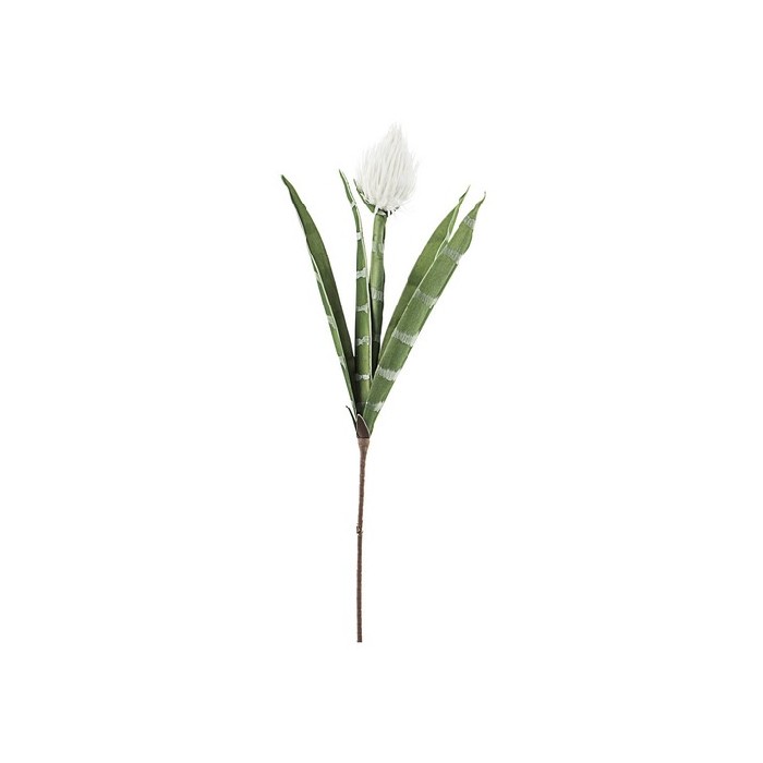 home-decor/artificial-plants-flowers/bizzotto-artificial-artificial-white-pitaya-89cm