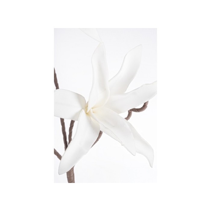 home-decor/artificial-plants-flowers/bizzotto-artificial-hemerocallis-white-113cm