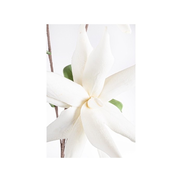 home-decor/artificial-plants-flowers/bizzotto-white-aloe-chinensis-x2f-h125cm