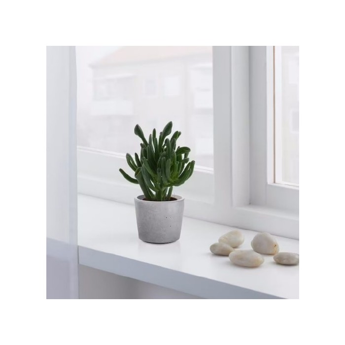 home-decor/indoor-pots-plant-stands/ikea-boysenbar-plant-pot-6cm-inoutdoor