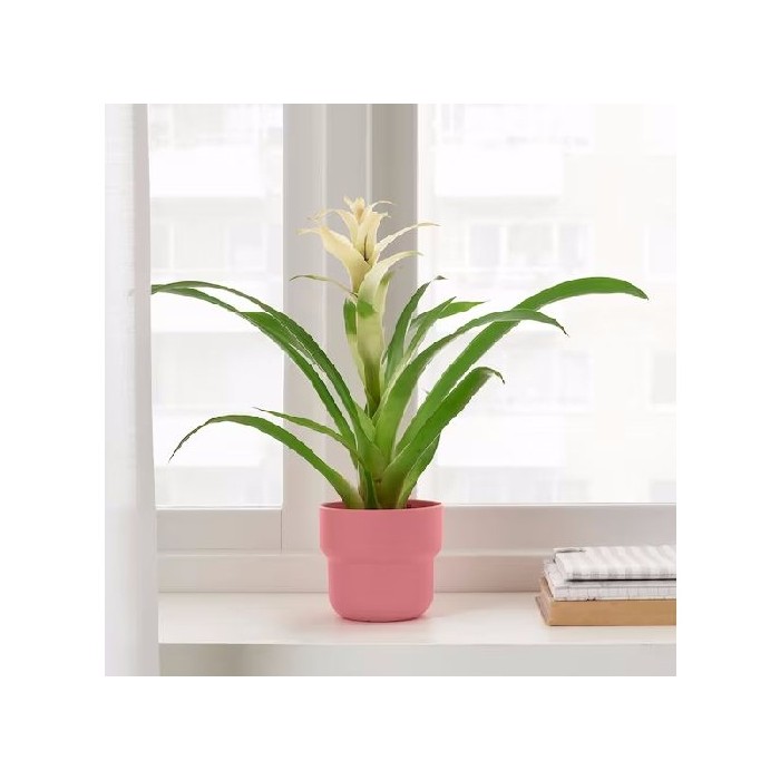 home-decor/indoor-pots-plant-stands/ikea-forenlig-planter-9cm