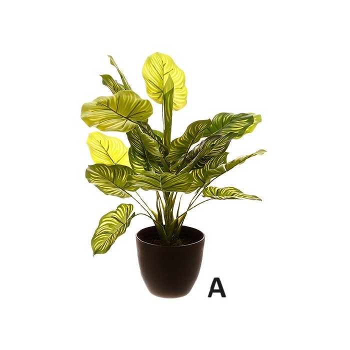 home-decor/artificial-plants-flowers/atmosphera-real-touch-green-plant-h45cm