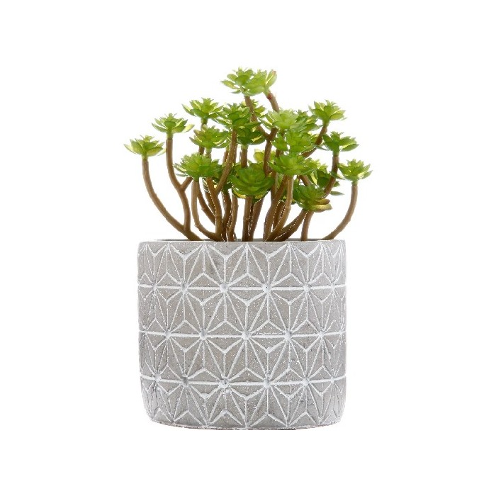 home-decor/indoor-pots-plant-stands/atmosphera-succulent-with-cement-pot-h17cm