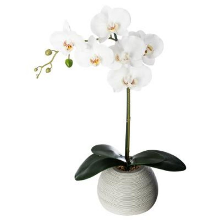 home-decor/artificial-plants-flowers/atmosphera-orchidee-cement-pot-h53cm